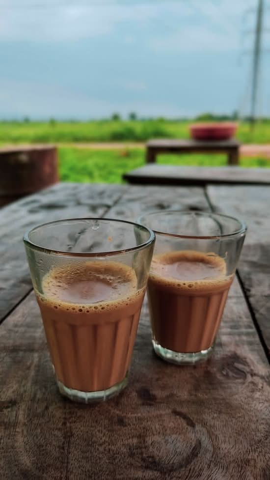 Tea (Masala chai)