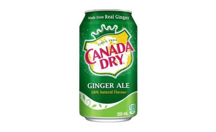 Soda au gingembre / Ginger Ale