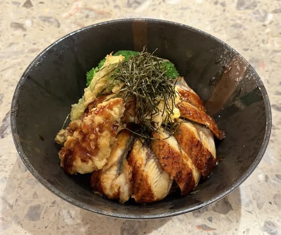 Unagi Don
