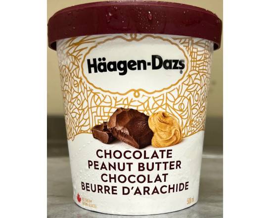 Haagen-Dazs Chocolate Peanut Butter (450ML)