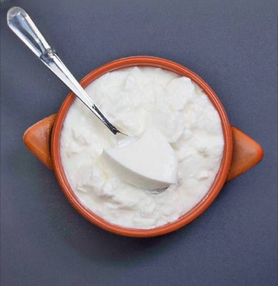 Plain Dahi