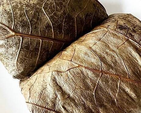 Lotus Leaf Sticky Rice (2)