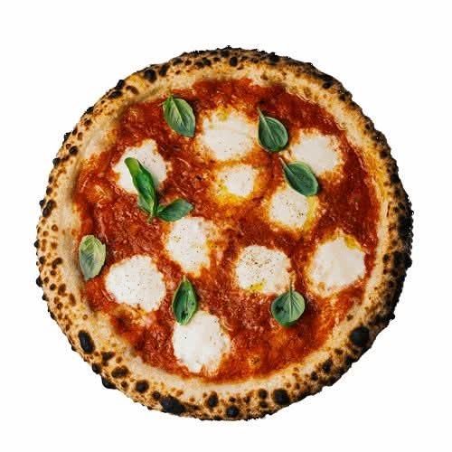 Siena Margherita (small)