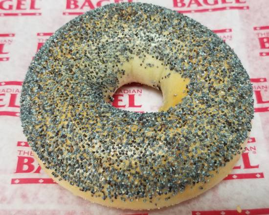 Poppy Seed Bagel
