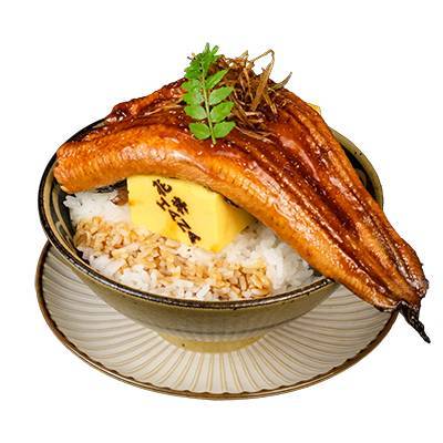 Unagi Don