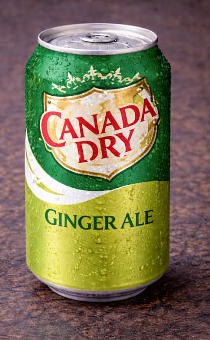 Ginger Ale Can - 355ml