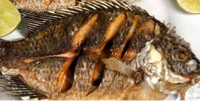 Mojarra Frita