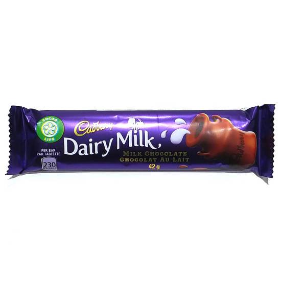 Dairy Milk Chocolate Bar