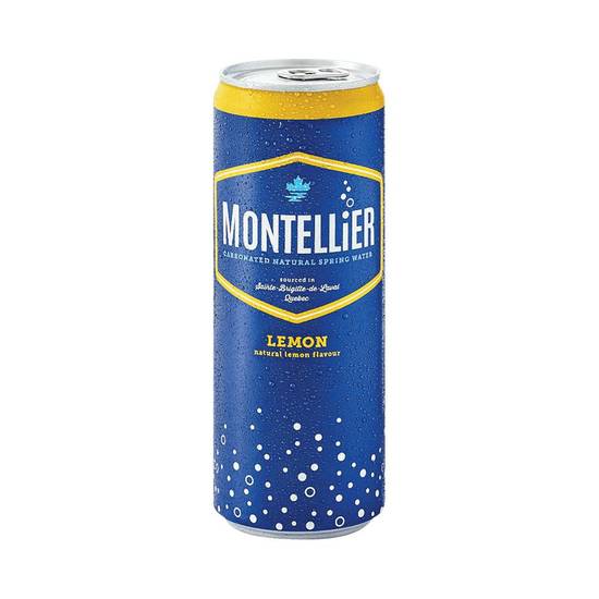Montellier - Carbonated Natural Spring Water - 355 ml