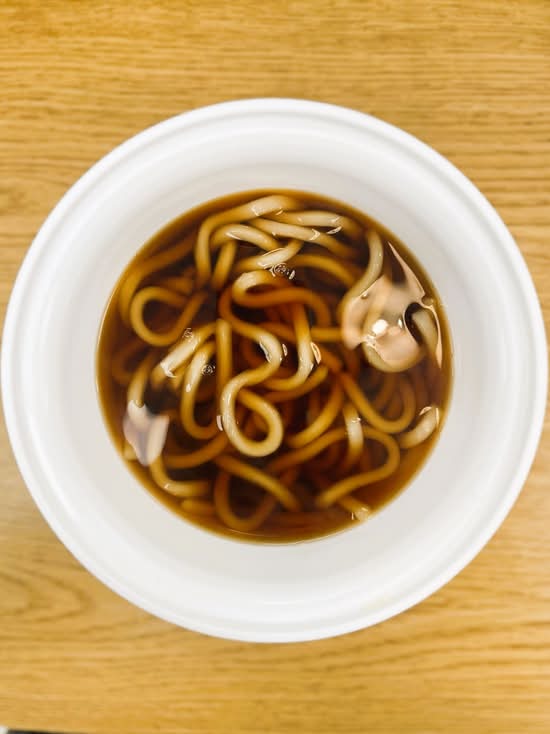 Plain Udon