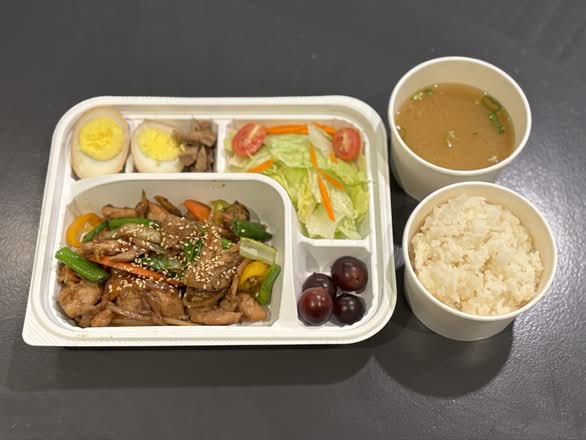 Dosirak au poulet sauté à la sauce soja / Soy Sauce Chicken Dosirak
