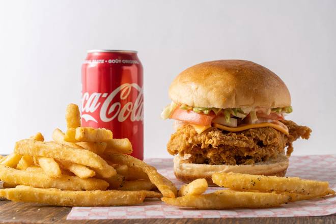 Double Chicken Burger Combo