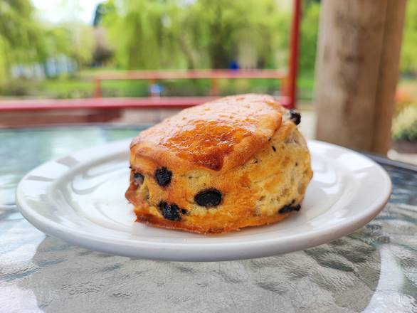 Blueberry Scone