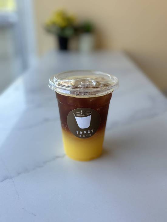 Orange Juice Americano Fizz - Cold 16 OZ