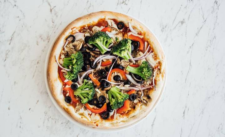 *NOUVEAU* PIZZA 14" Jardinière / *NEW* 14" Garden Pizza