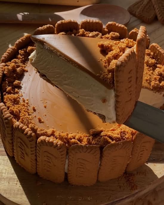 Biscoff Lotus Cheesecake Cake