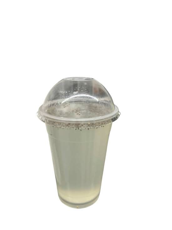 Fresh Lime Juice