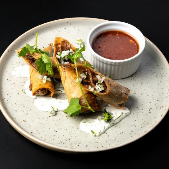 Birria Spring Rolls