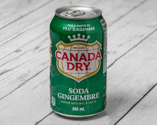 Ginger Ale (355 ml)