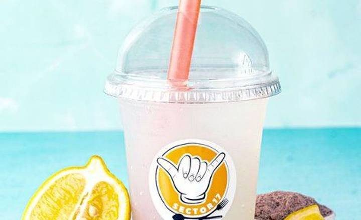 Sip The Fiz - House Made  Sodas