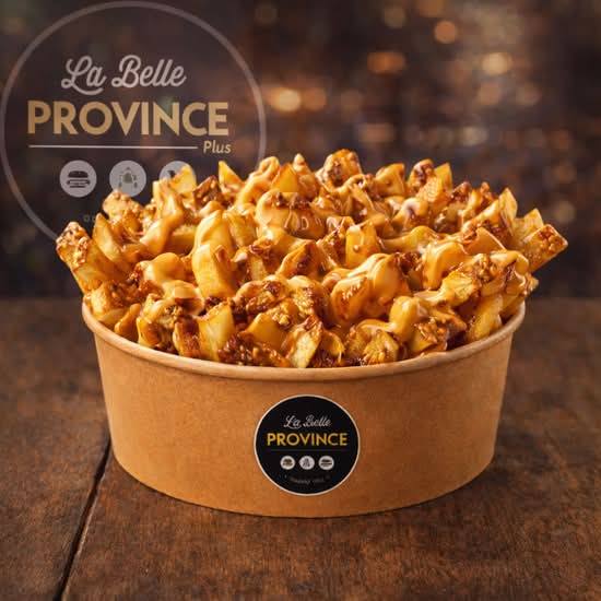 Frite sauce / Fries with Gravy