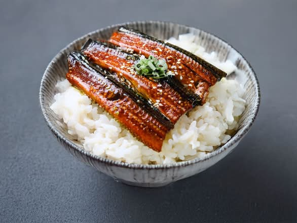 Unagi Don
