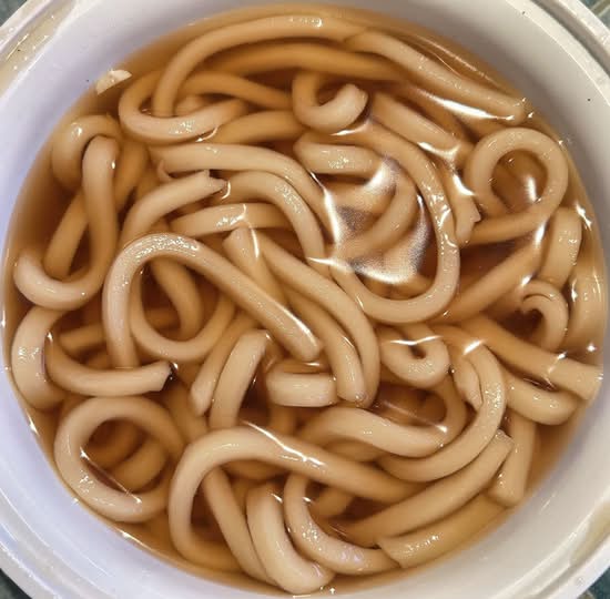 Plain Udon Noodle Soup