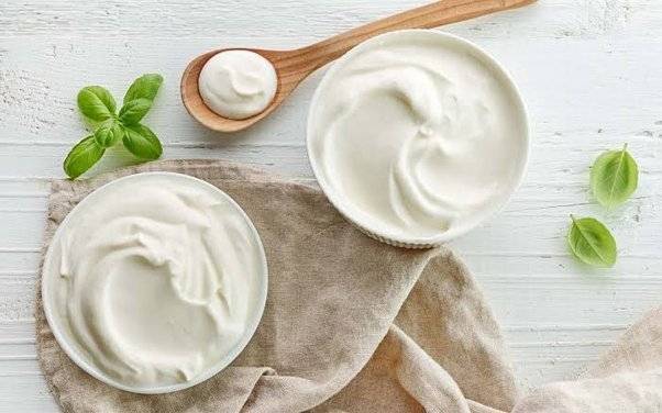 Plain Dahi