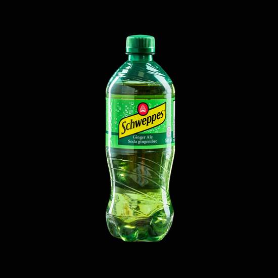 Schweppes Soda Gingembre | Ginger Ale (591ml)