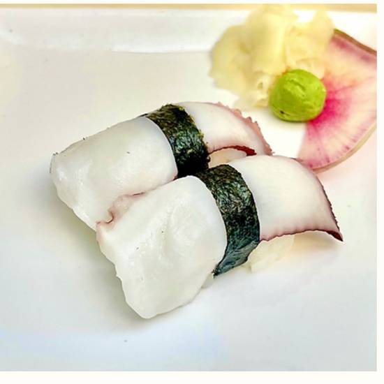 Pieuvre / Octopus