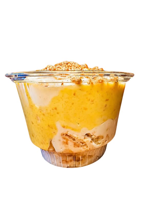 Ras Malai Pudding