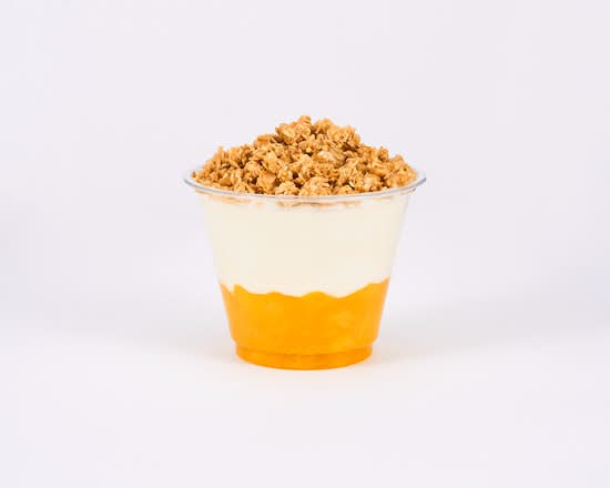NEW!! Mango Coconut Protein Parfait 20g