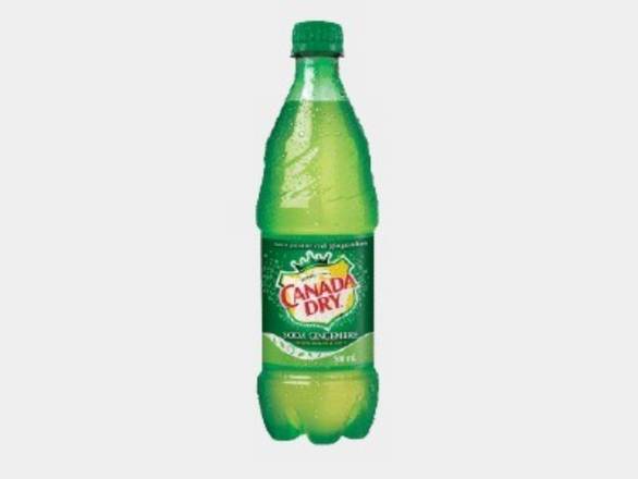 Ginger Ale / Ginger Ale