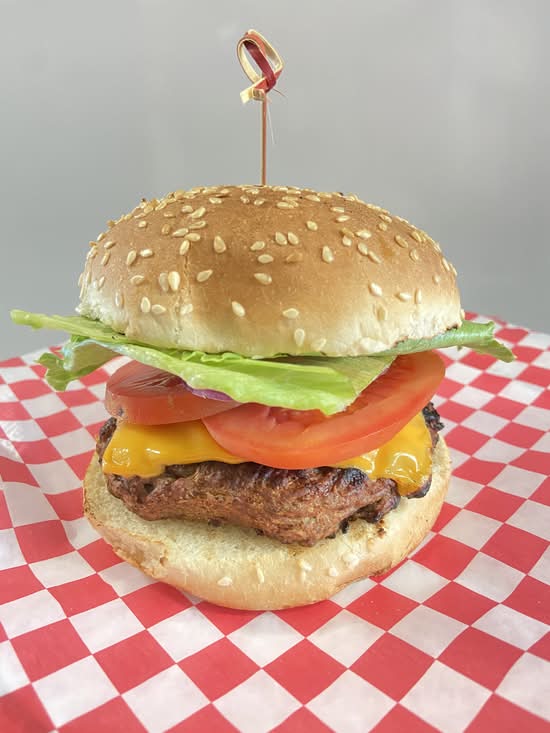 Chicken Burger on a Bun