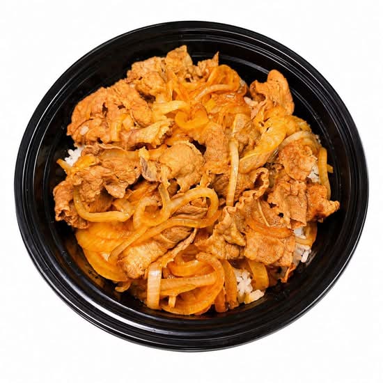 Japanese Beef Rice Bowl