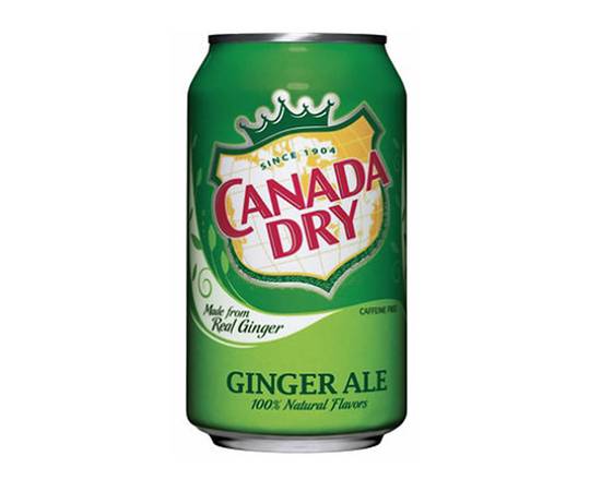 Ginger Ale Can 355 ML