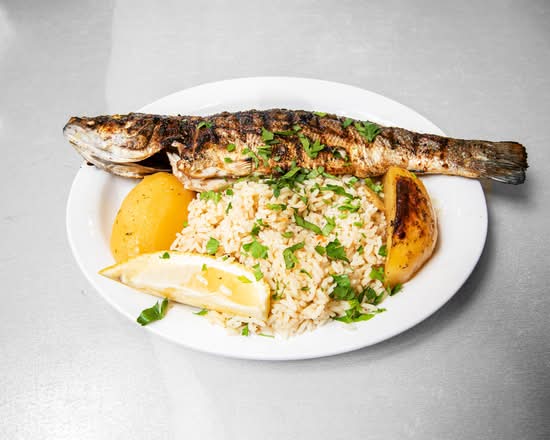 Mediterranean Sea Bass