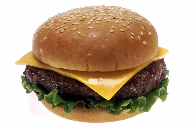 Cheese Burger with Fries