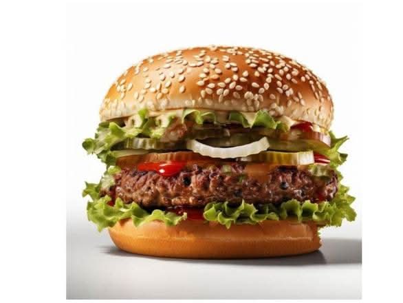 Burger poulet / chicken burger