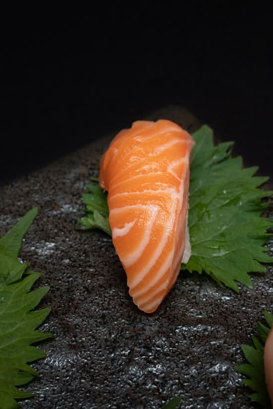 Salmon