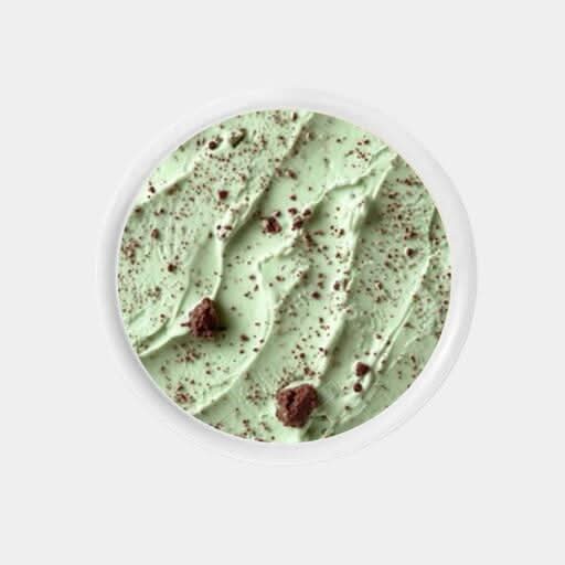 Mint Chip Ice Cream
