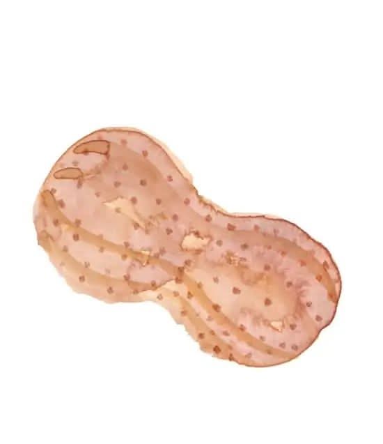 Peanut Pastry