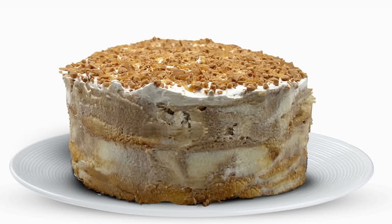 Salted Caramel Ice Cream Cake