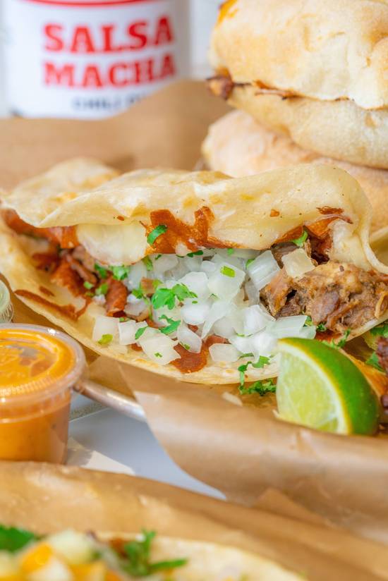 Quesadilla carnitas / Braised pork