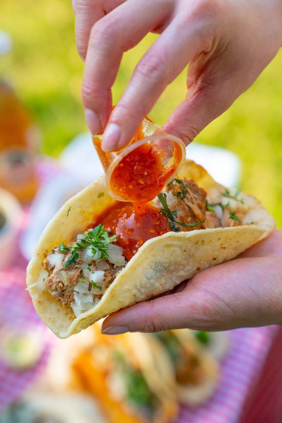 Taco carnitas / Braised pork