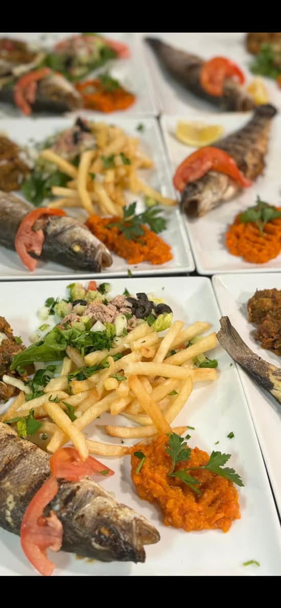 Poisson Loup de Mer de la Tunisie