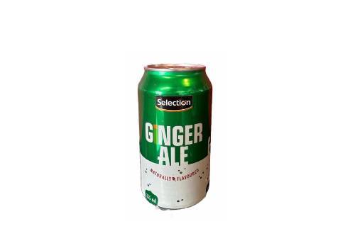 Ginger Ale 355mL