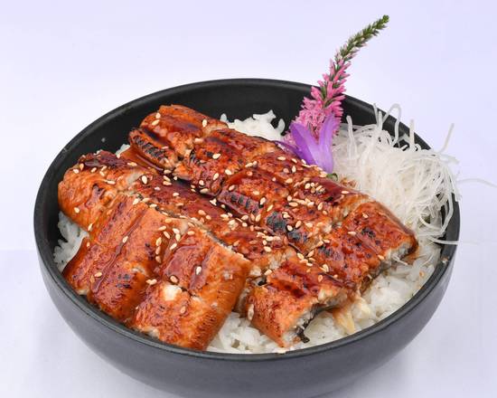 Unagi Don