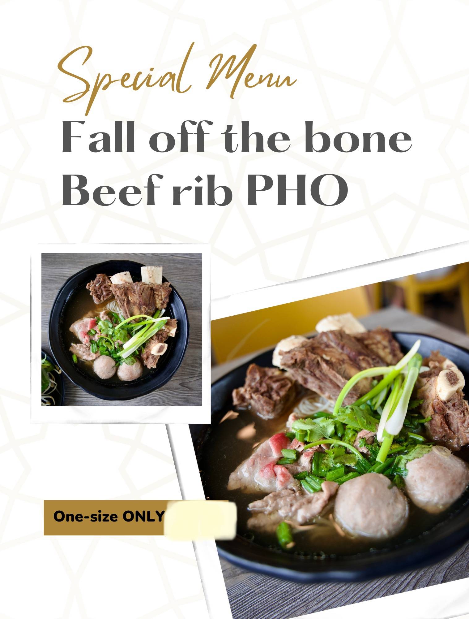 Beef Rib Pho