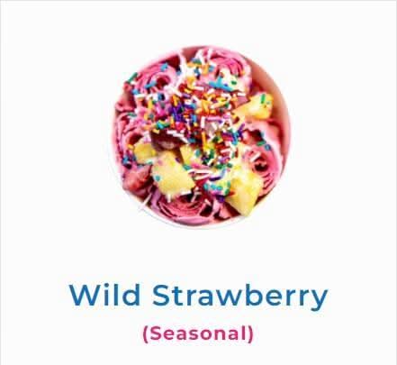 Wild Strawberry Fruit